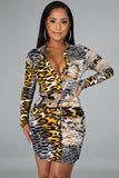 Teah Animal Print Dress