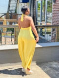 Daisy Halter Jumpsuit