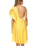 Raleigh Dress - Style Envy Boutique